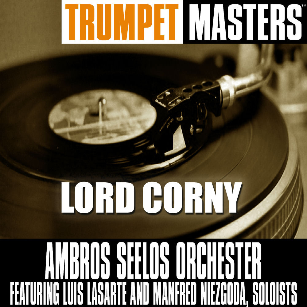 Photo de l'artiste Ambros Seelos Orchester