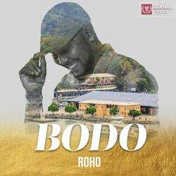 Picture of BODO