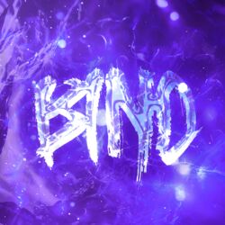 ßino