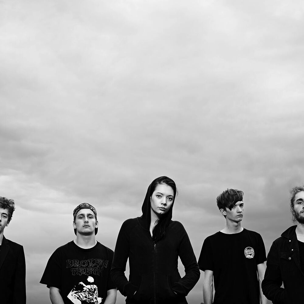 Picture of Marmozets