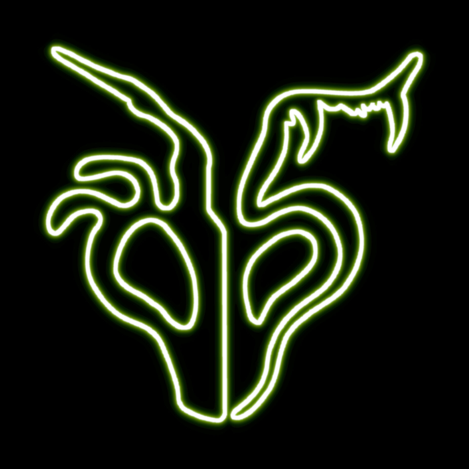 Artist picture of Glitch Moth