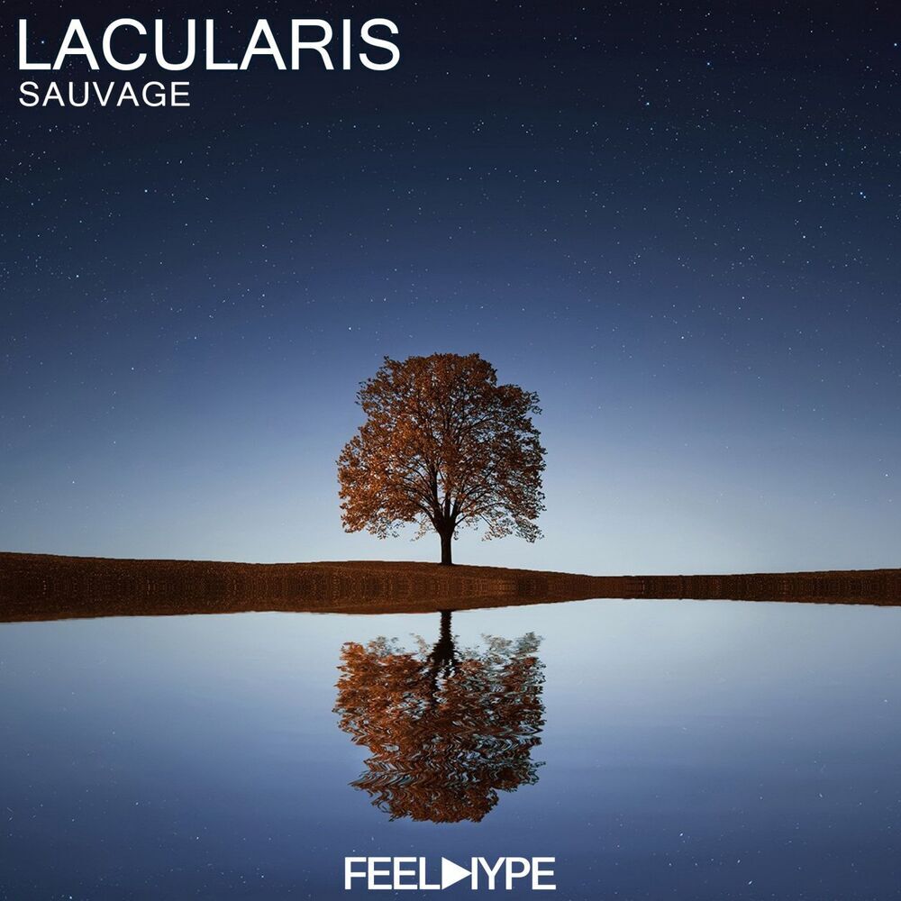 Picture of LACULARIS