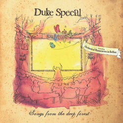 Picture of Duke Special