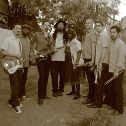 Picture of Breakestra