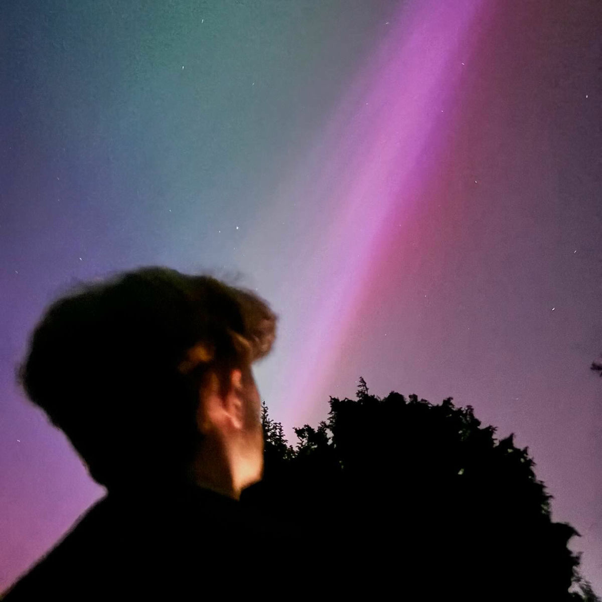 Artist picture of blaank