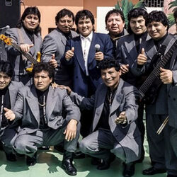 Picture of Grupo Néctar