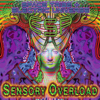 洋楽 Space Tribe 2000 O.D. Space Tribe – 2000 O.D. – 2 x Vinyl (12