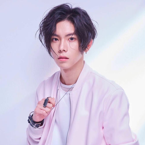 楊宇騰 YU 雑誌・写真集等 まとめ売り 20点以上 Amazon.co.jp: 写真集 楊宇騰YU 1st寫真集：half（通常版） 台湾
