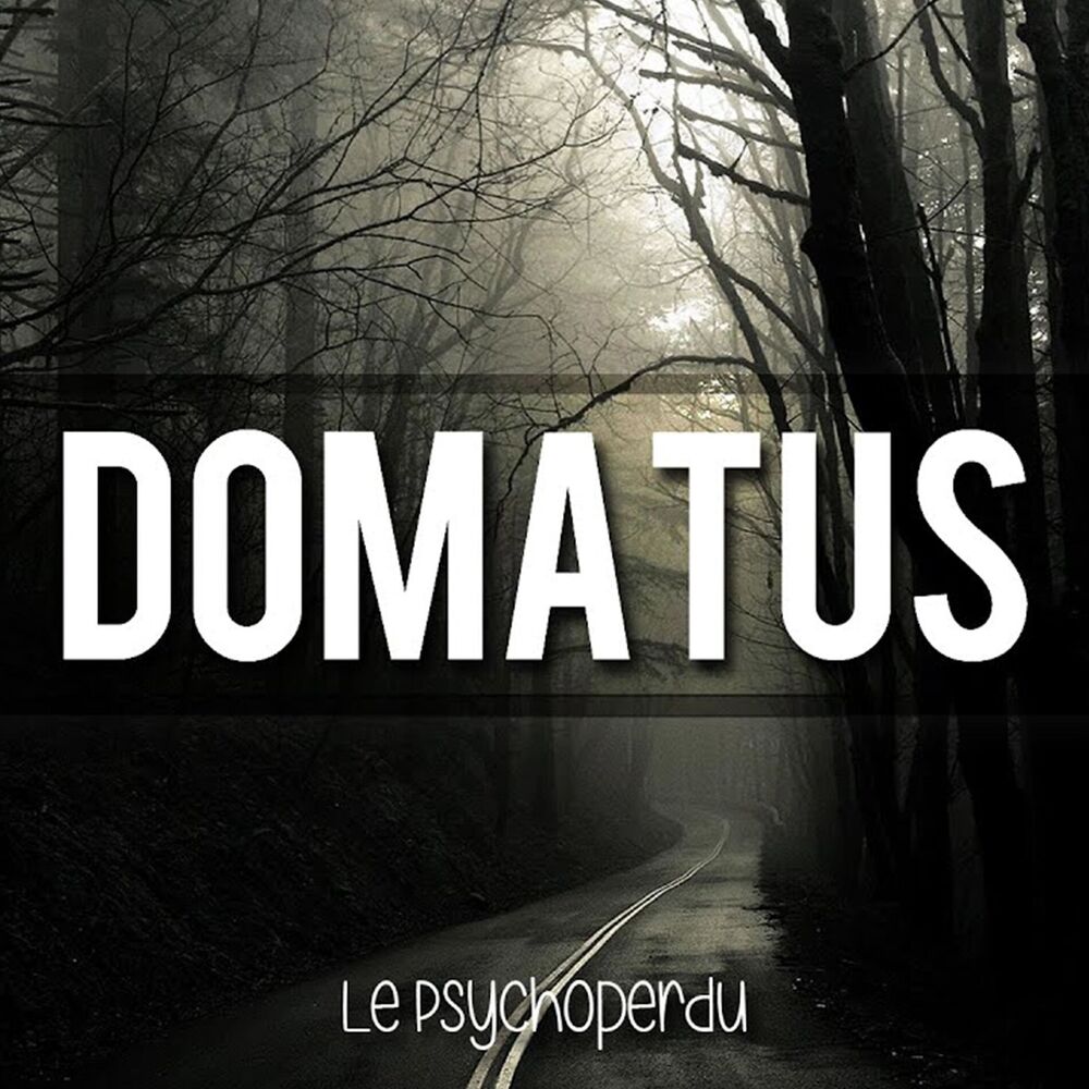 Picture of Domatus