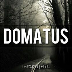 Picture of Domatus