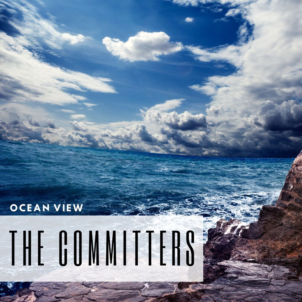 Picture of The Committers