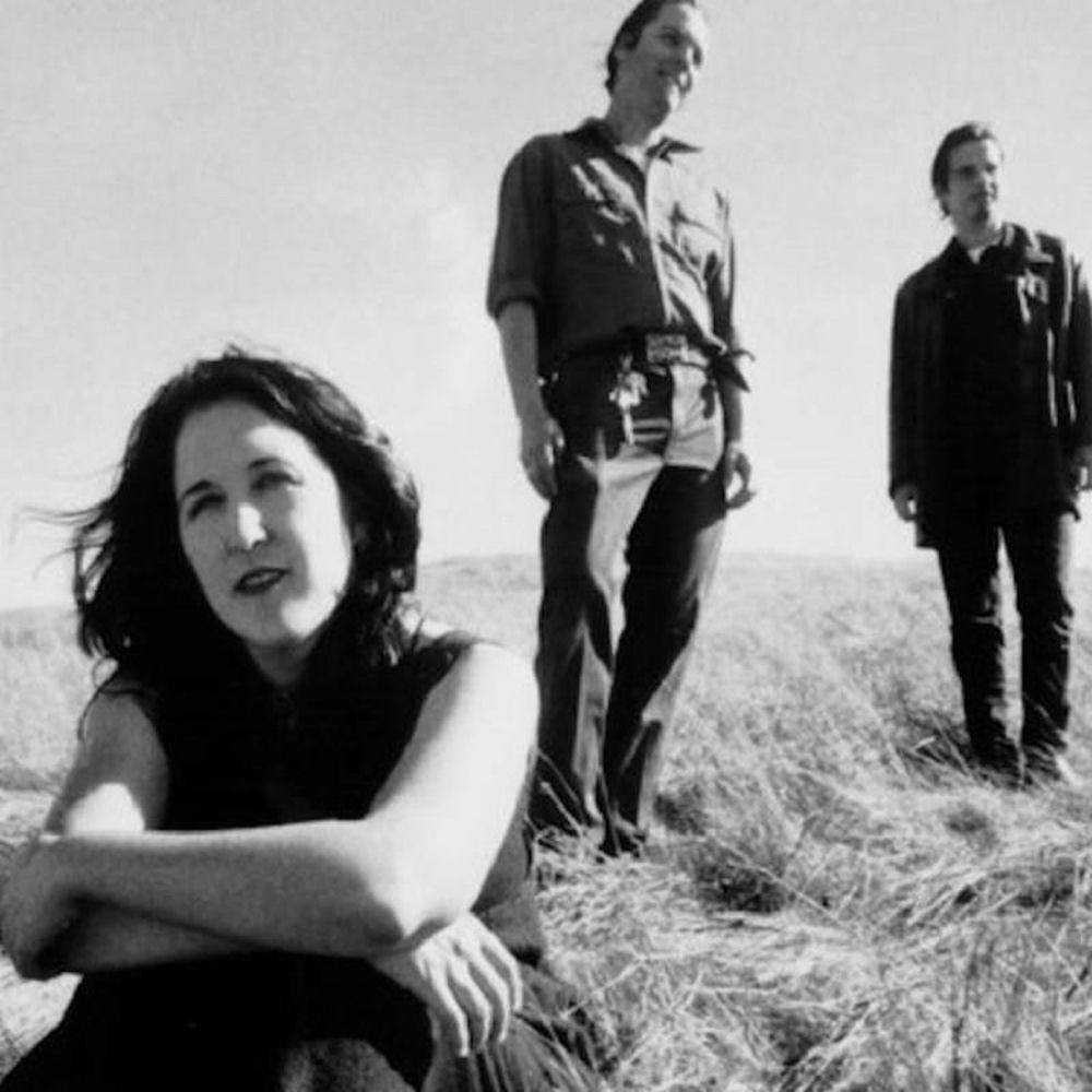 Photo de l'artiste Tarnation