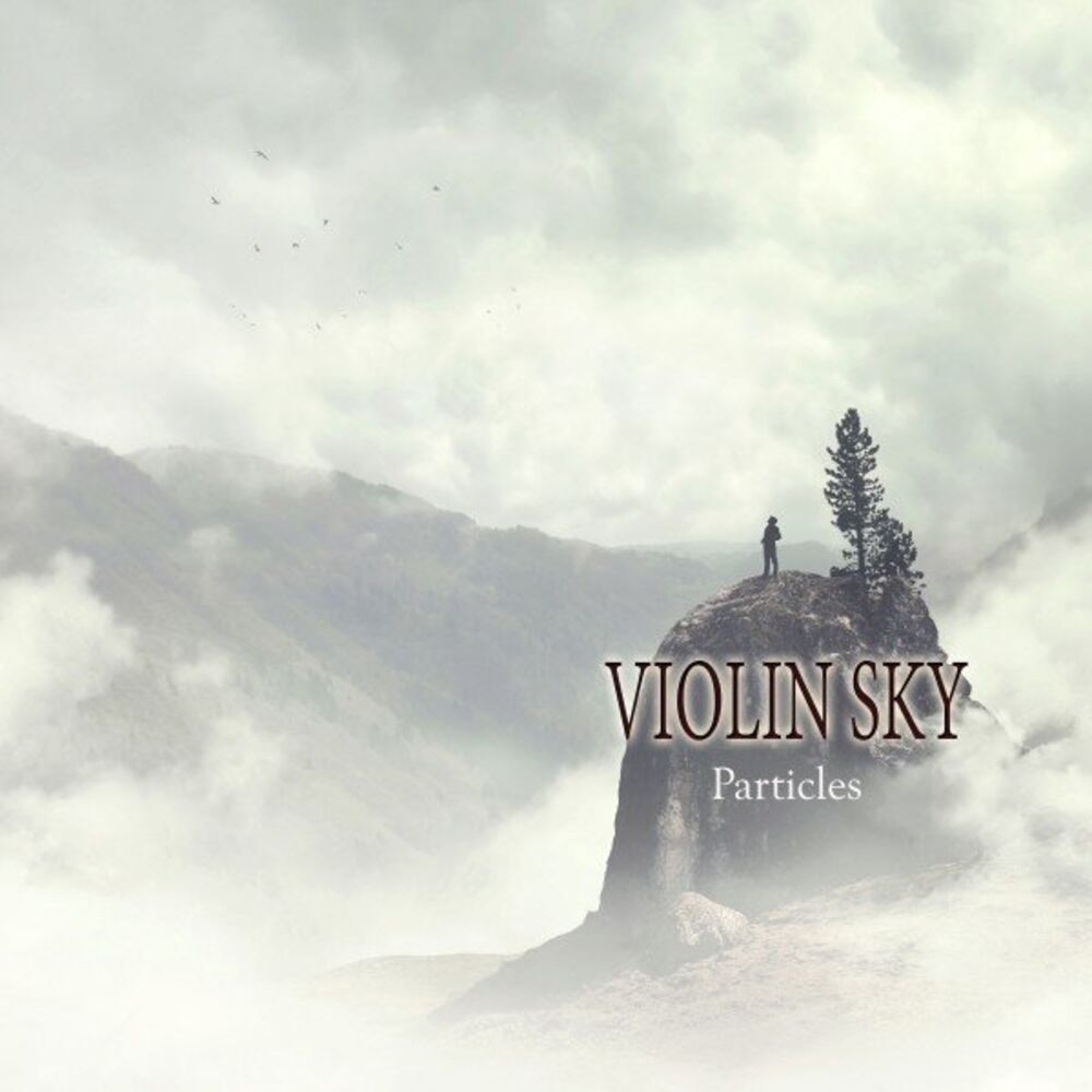 Picture of Violin Sky