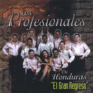 Los Profesionales