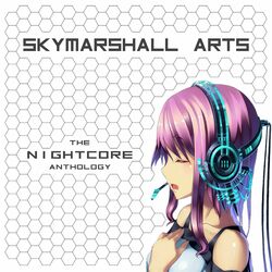 Picture of SkyMarshall Arts