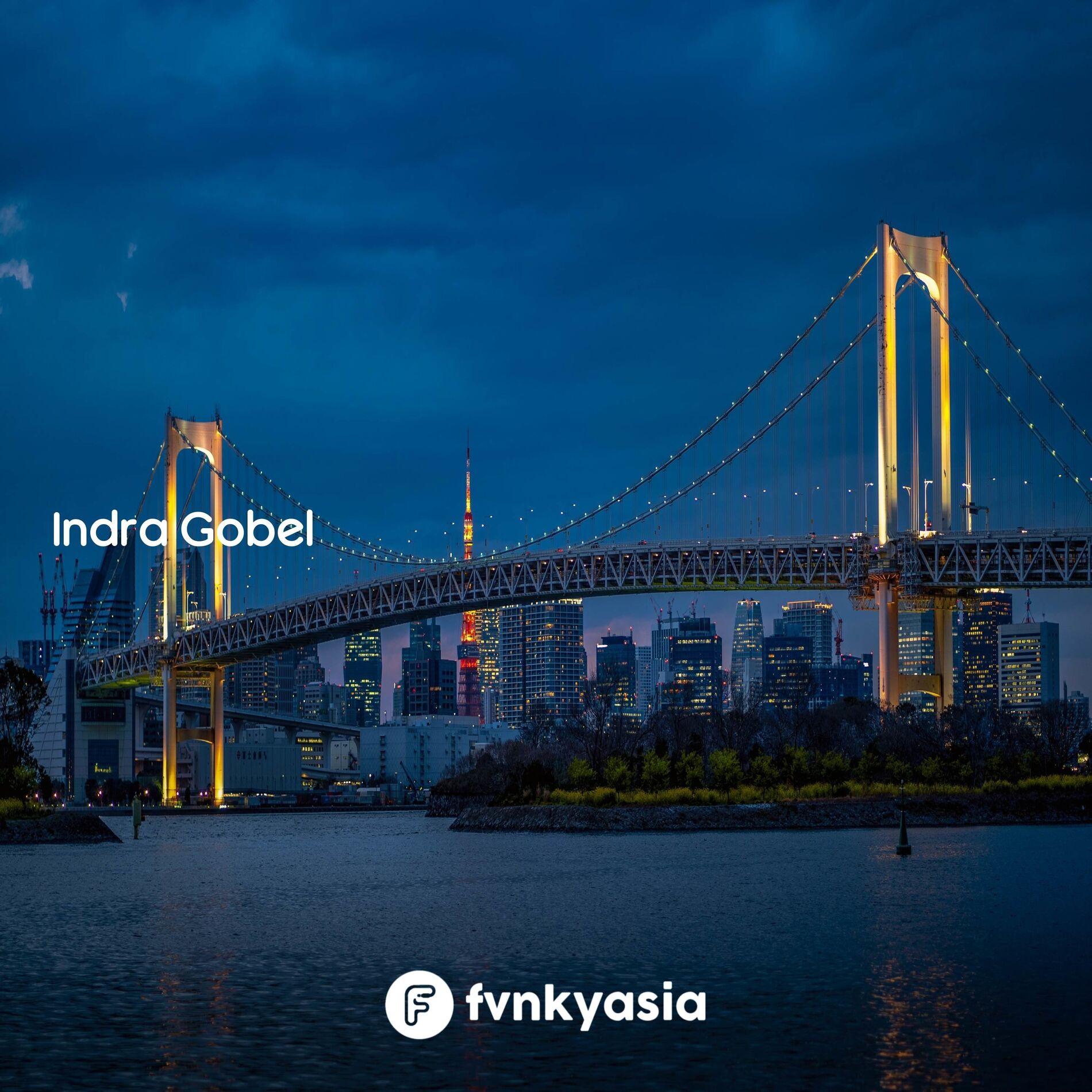 Artist picture of Indra Gobel