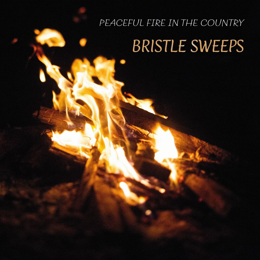 Picture of Bristle Sweeps