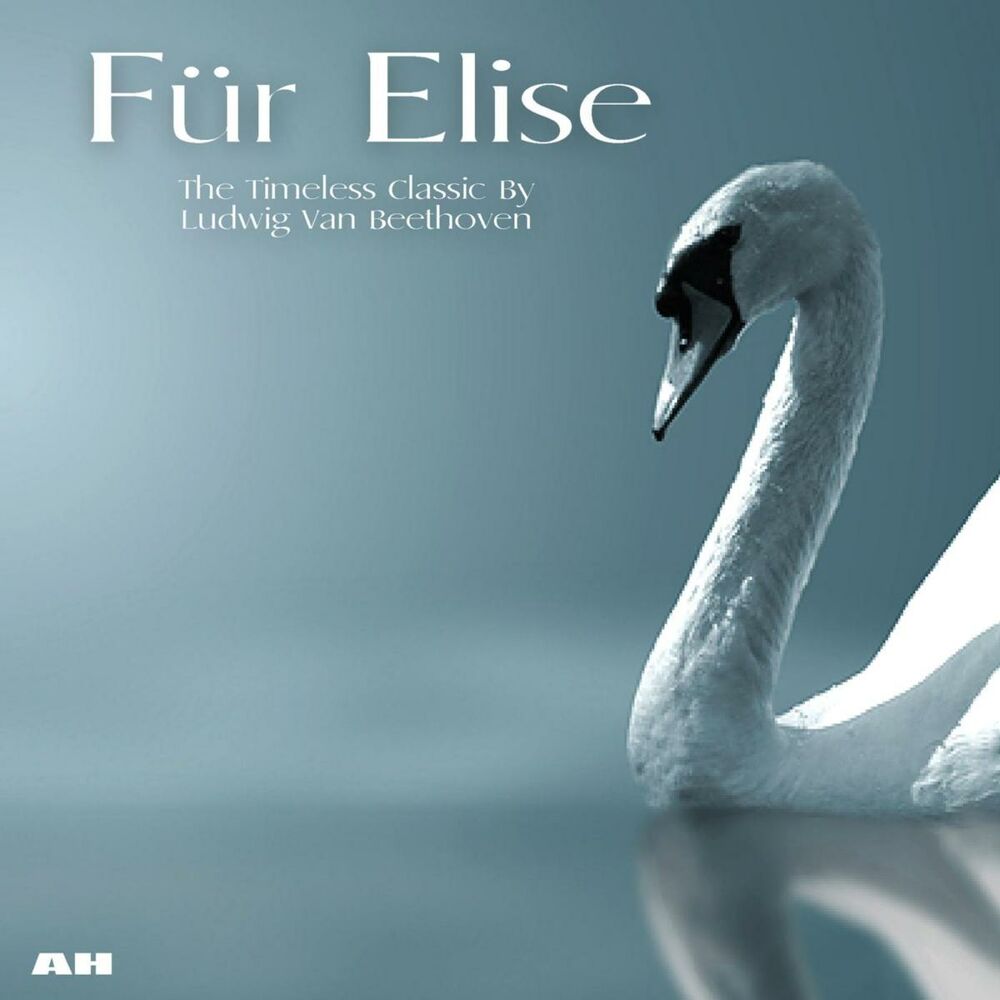 Picture of Fur Elise