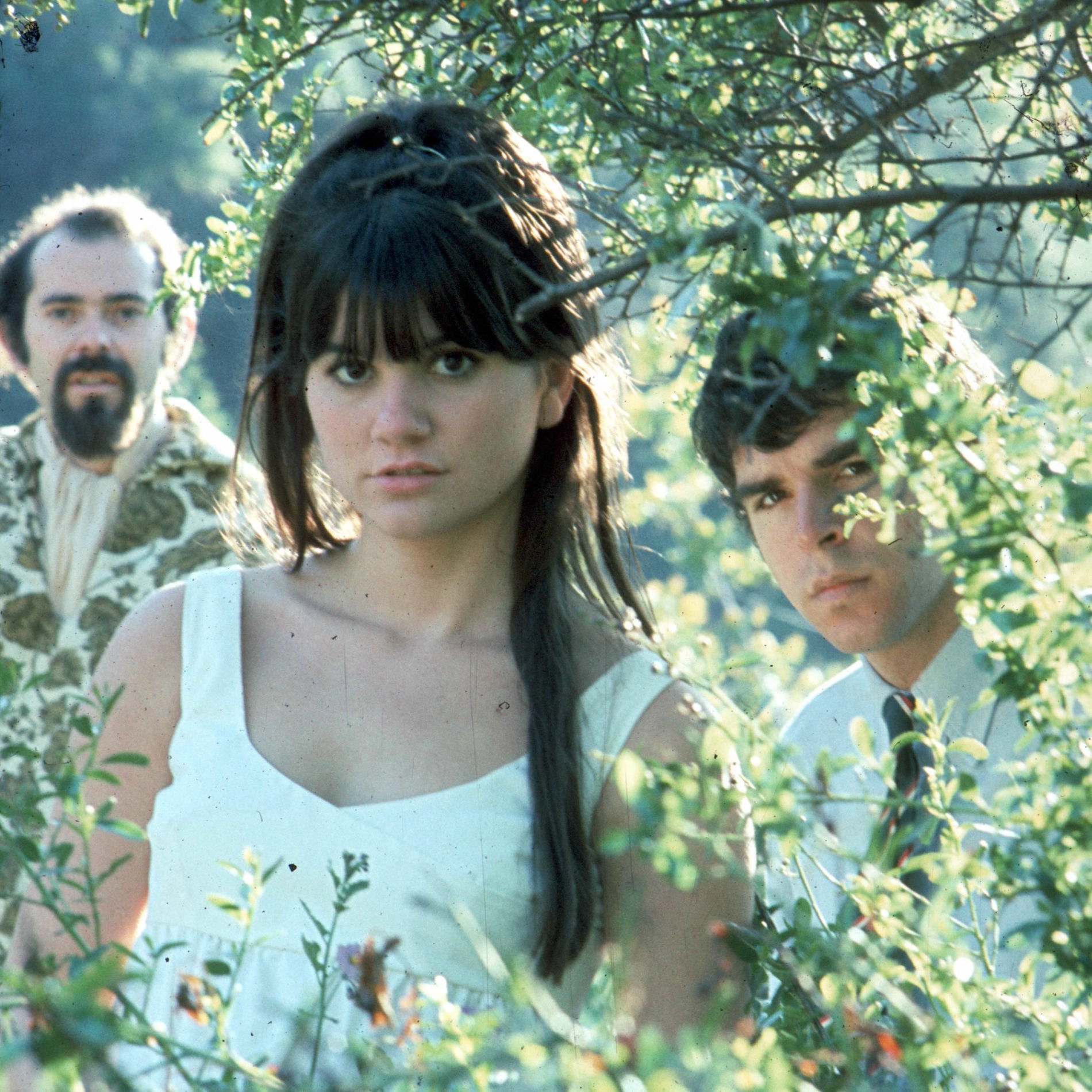 Artist picture of Stone Poneys