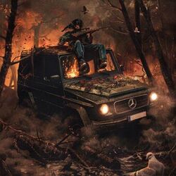 Picture of SOSOCAMO