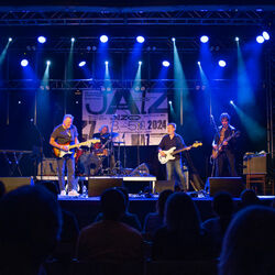 Picture of Gregor Hilden Organ Trio