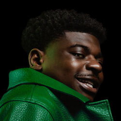 Picture of Hulk Van JMF