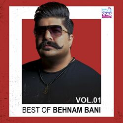 Picture of Behnam Bani