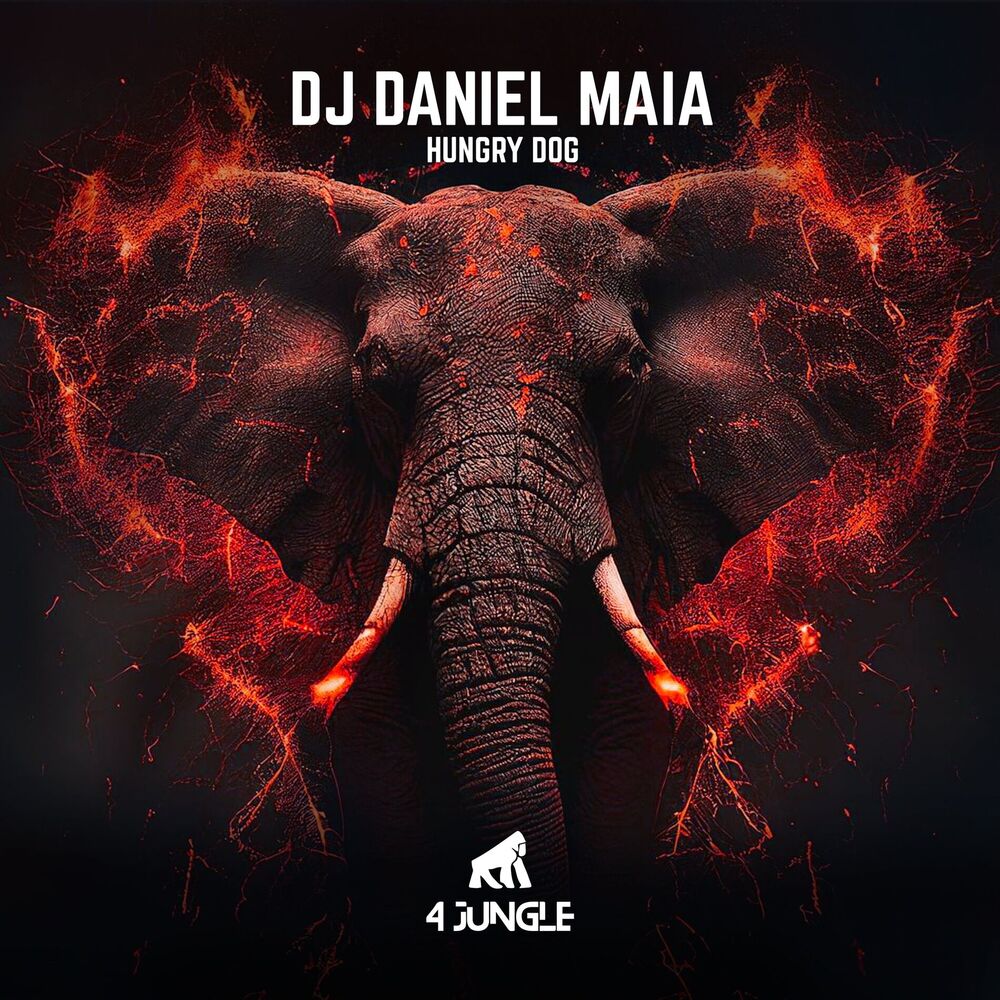 Picture of DJ Daniel Maia