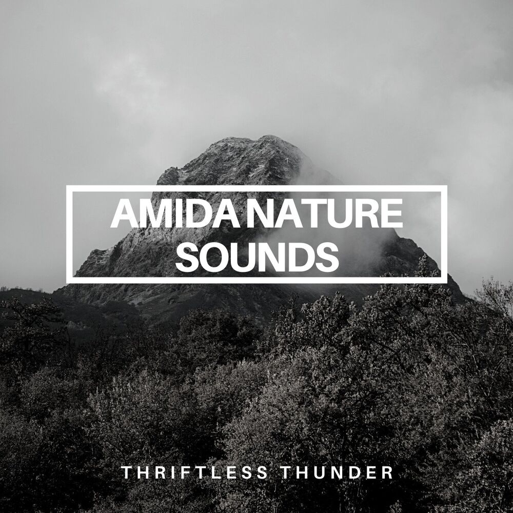 Picture of Amida Nature Sounds