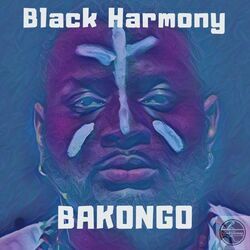 Picture of Black Harmony