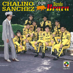 Picture of Banda Brava