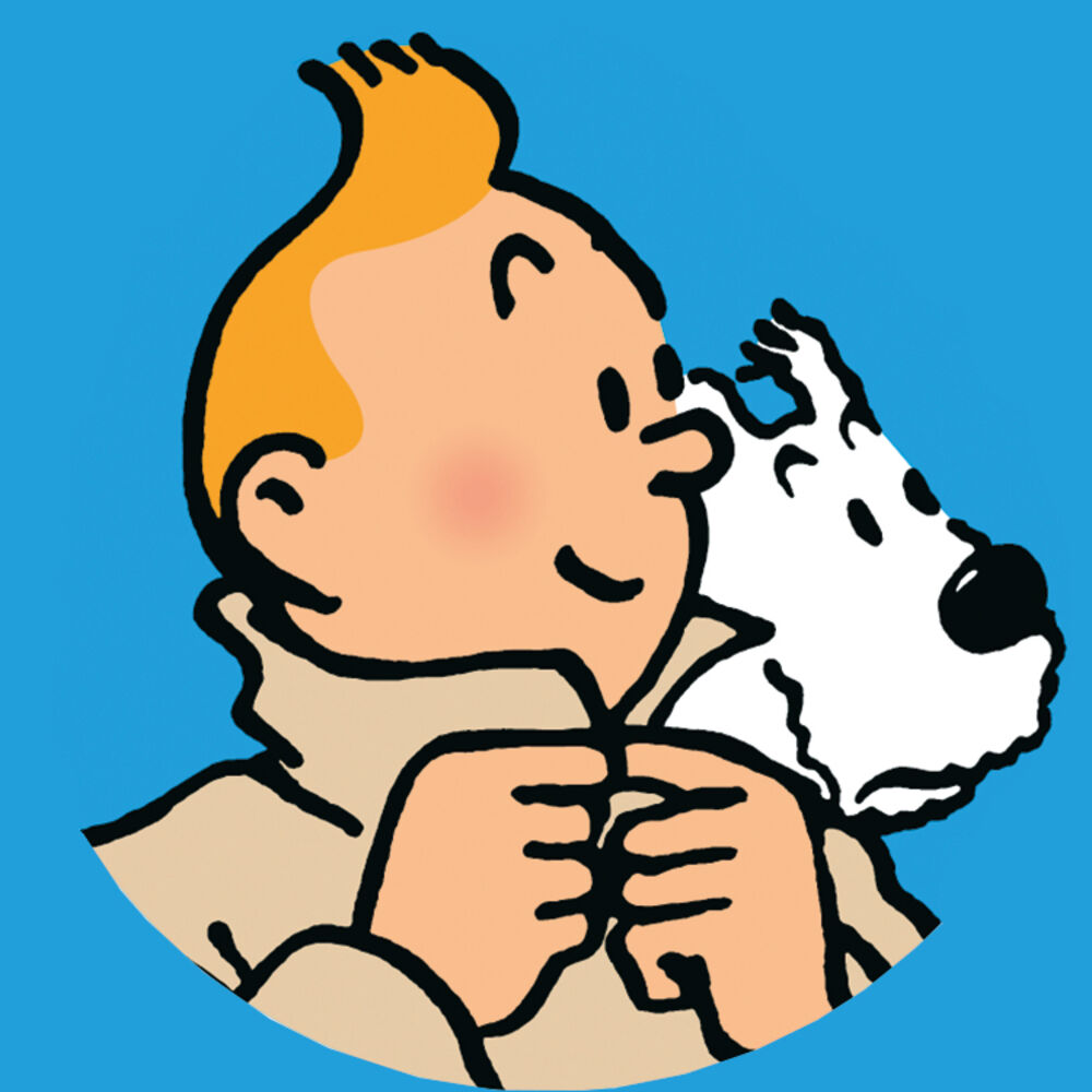 Picture of Tim & Struppi