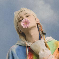 Picture of Sky-Hi