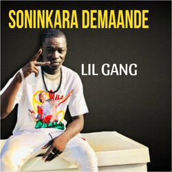 Picture of Lil Gang