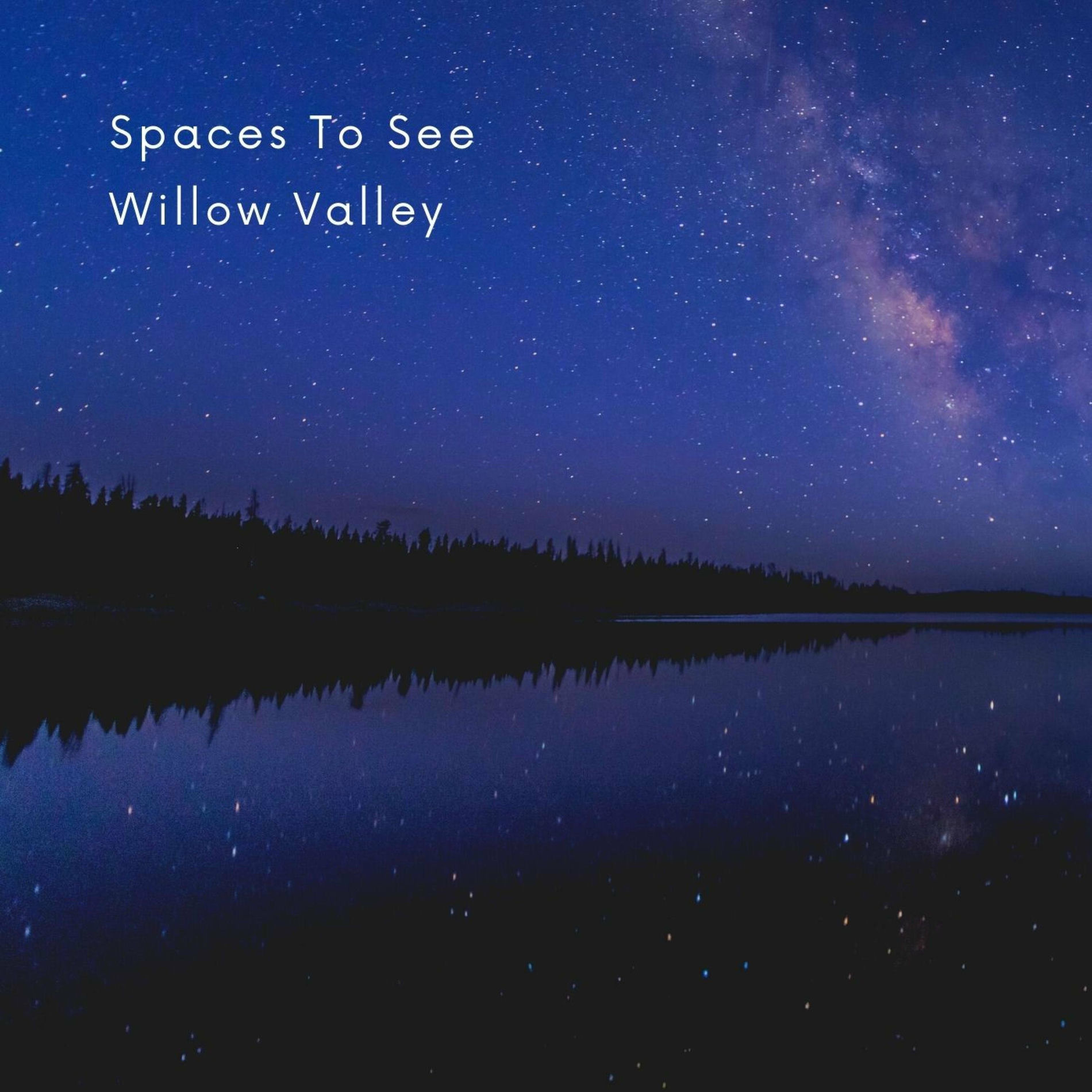 Artist picture of Willow Valley