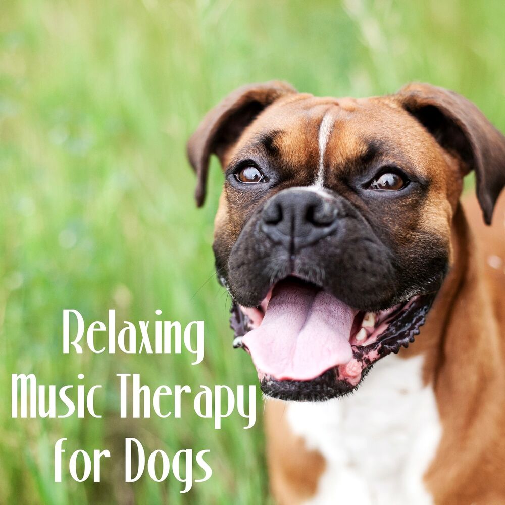 Picture of Music for Dog's Ears