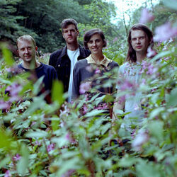 Picture of Spinning Coin
