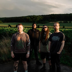 Picture of Disentomb