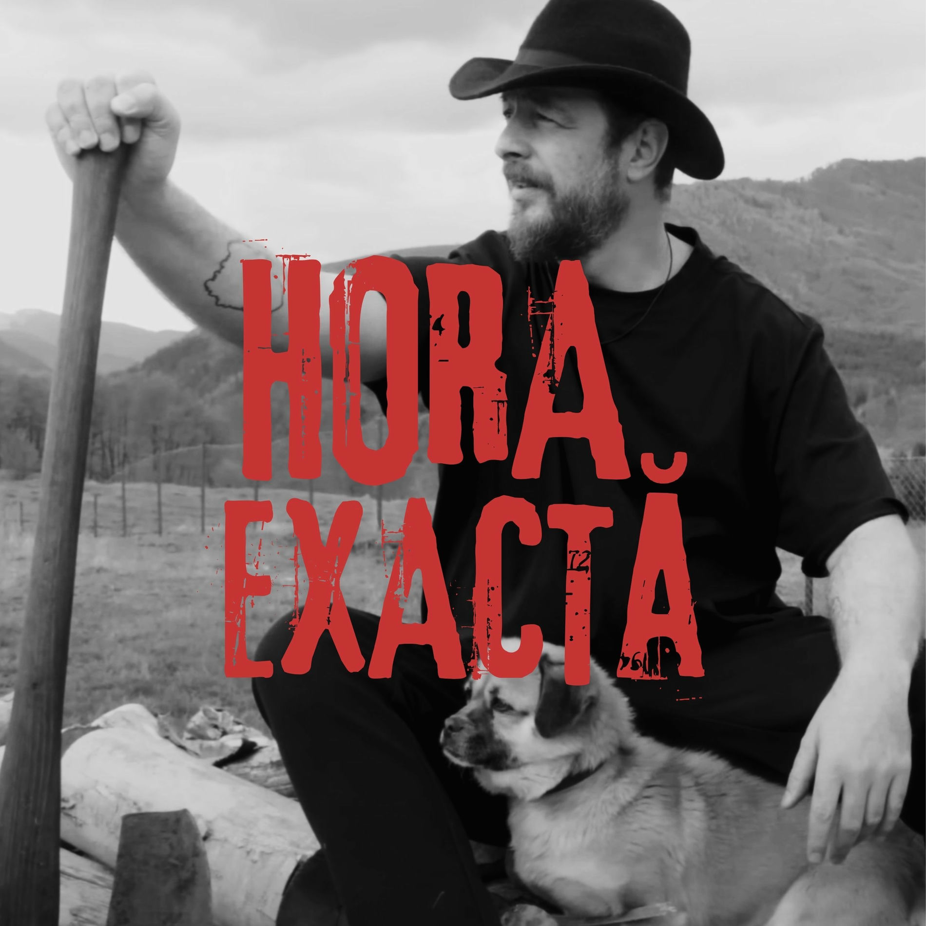 Subcarpaţi