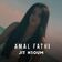 Amal fathi