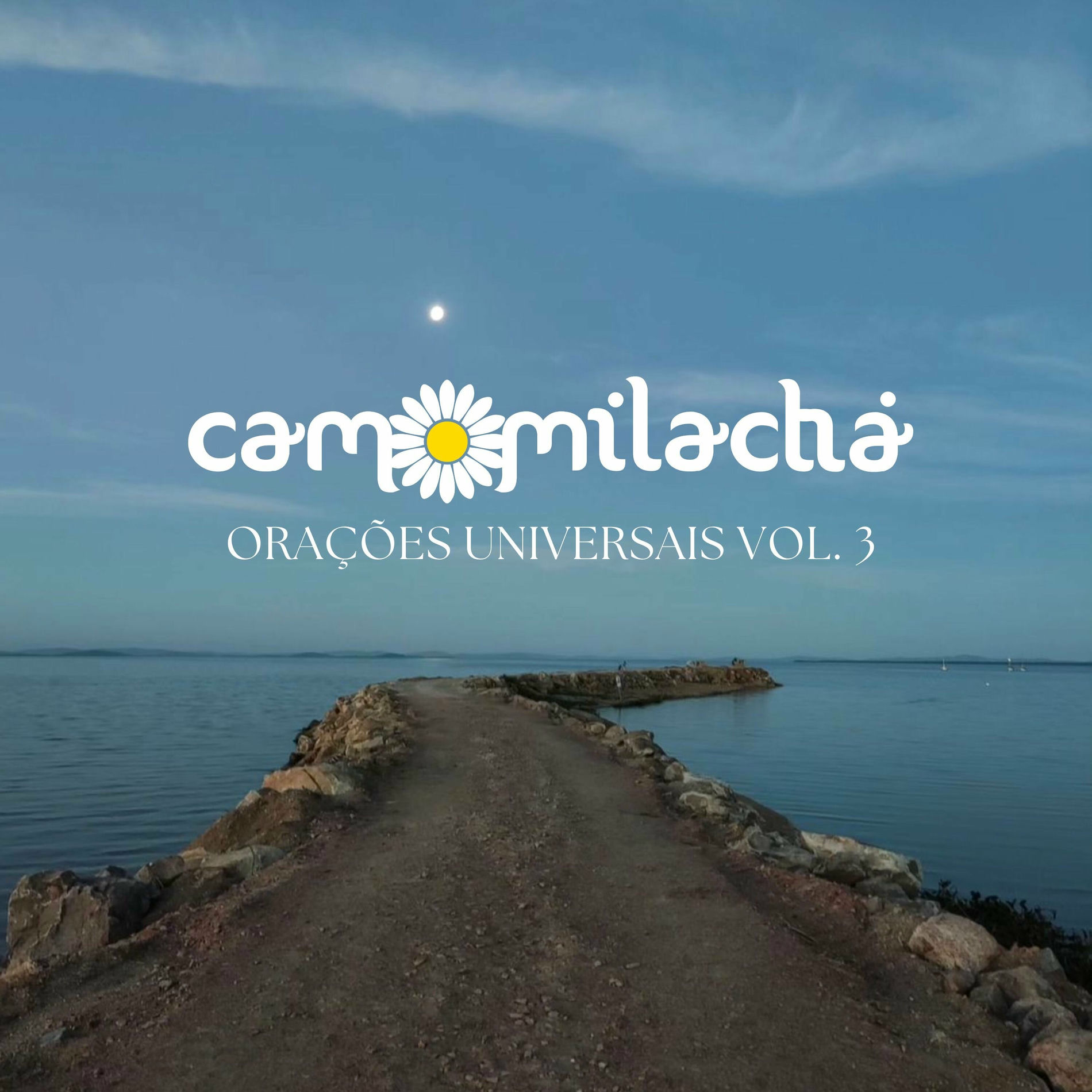 Camomila Chá