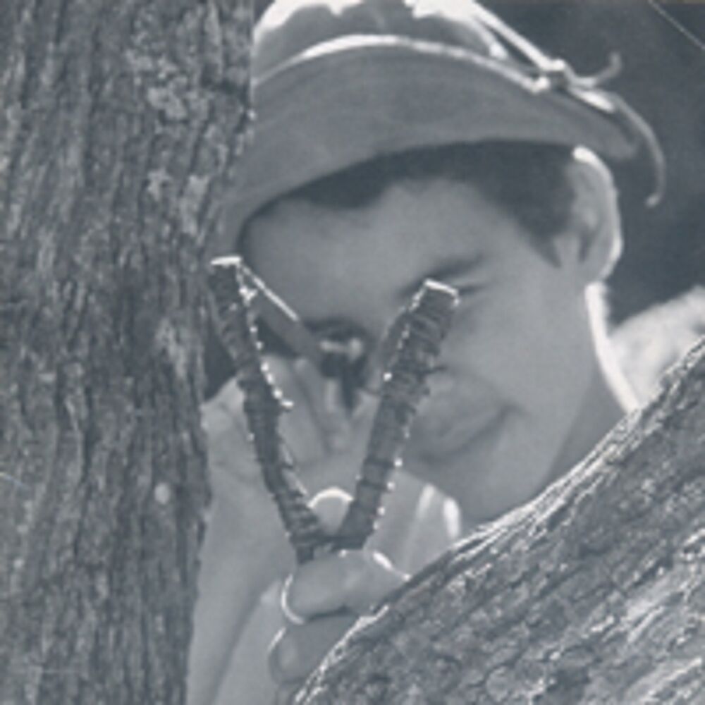 Picture of Valdir Santos