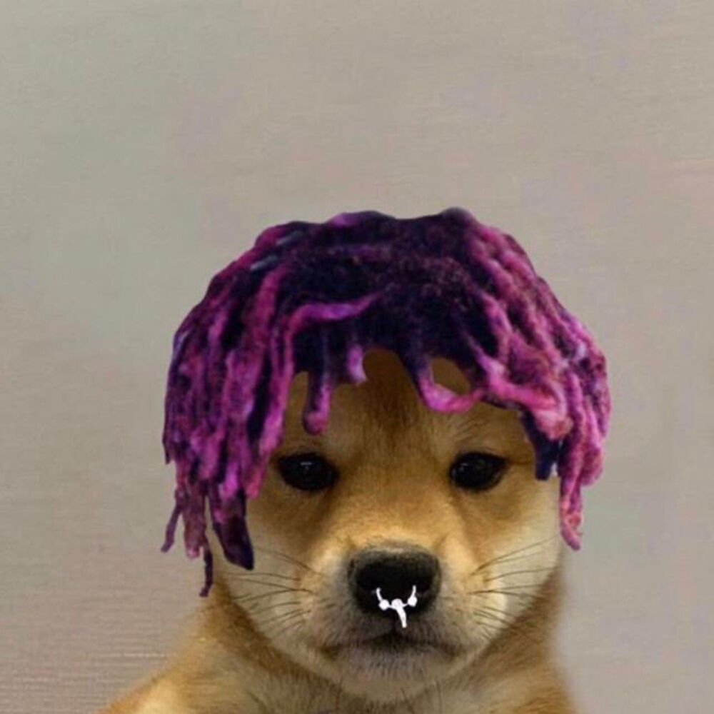 Picture of Lil Goldfish