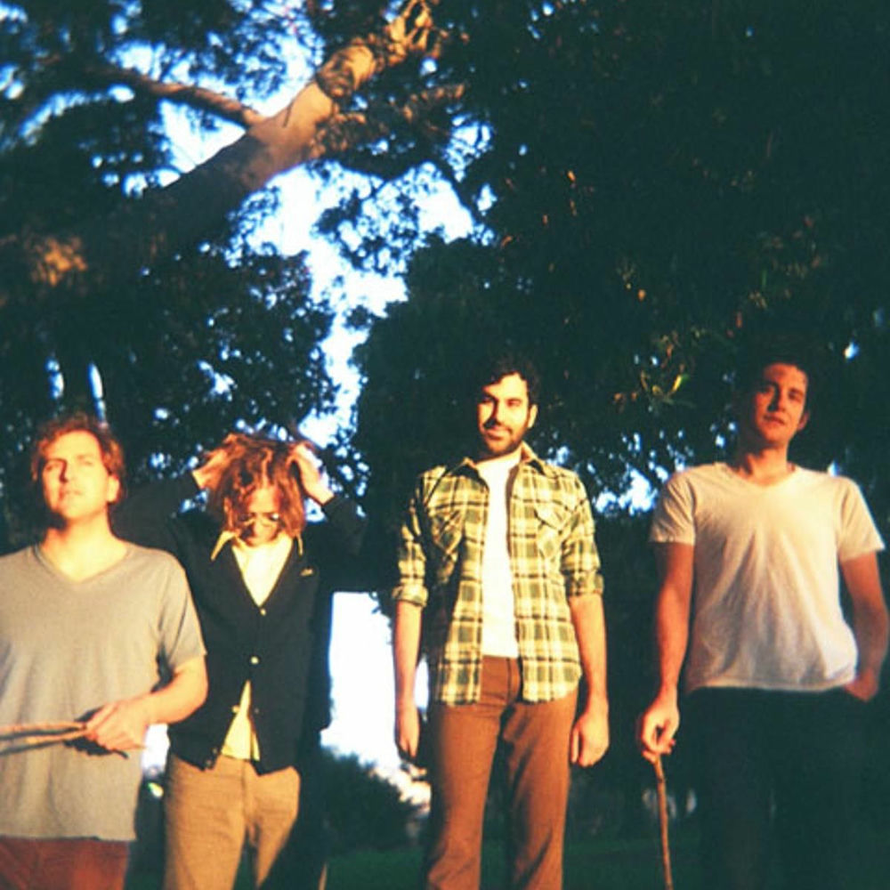 Photo de l'artiste The Donkeys