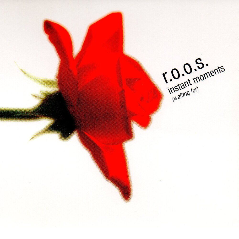 Picture of R.O.O.S.