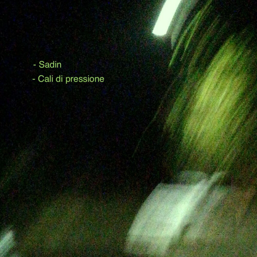 Picture of Sadin