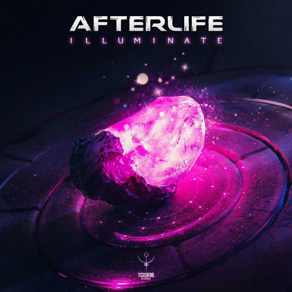 Photo de l'artiste Afterlife (IL)