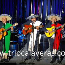 Picture of Trio Calaveras