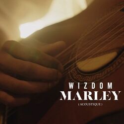 Picture of Wizdom