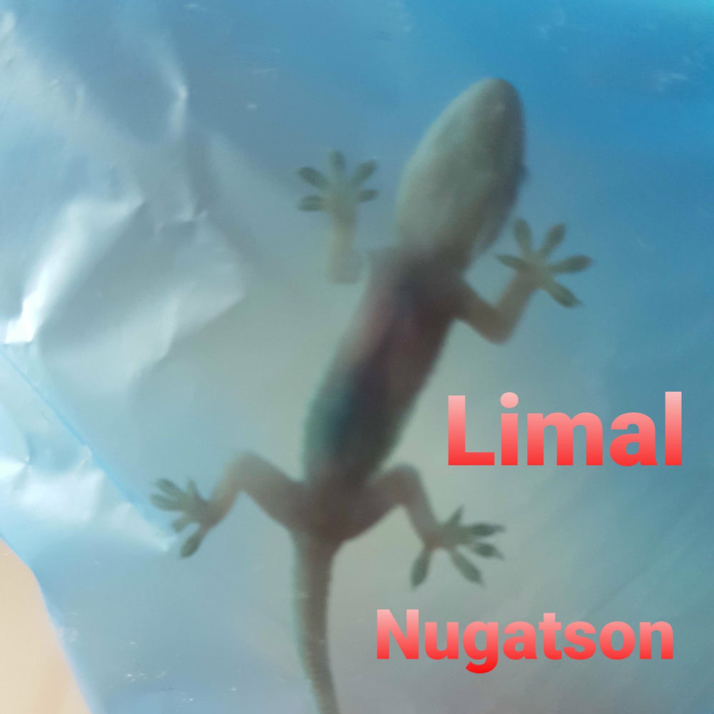 Photo de l'artiste Limal